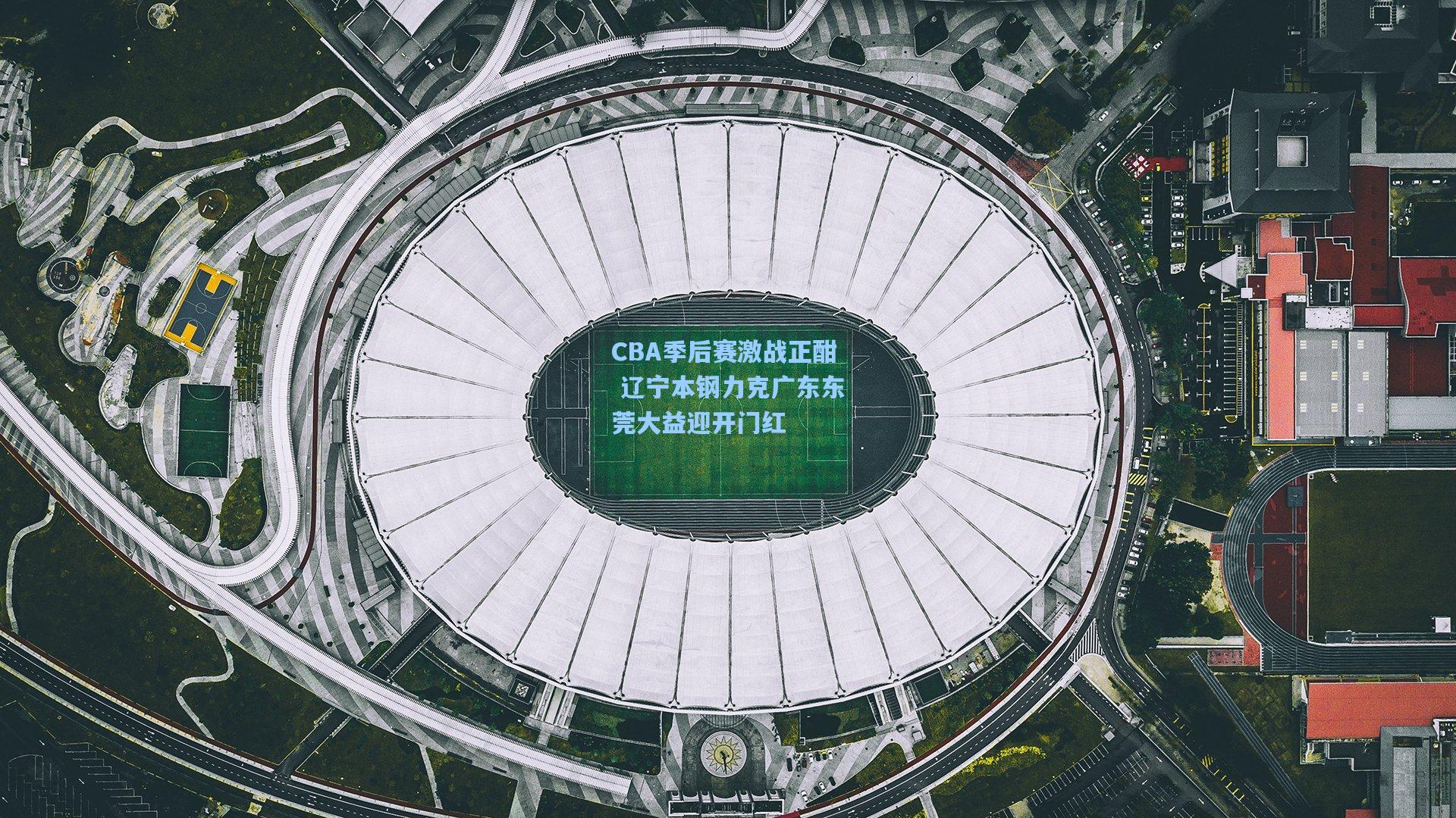 CBA季后赛激战正酣 辽宁本钢力克广东东莞大益迎开门红