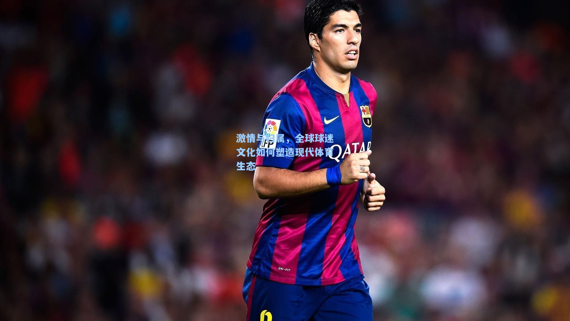 激情与归属,全球球迷文化如何塑造现代体育生态